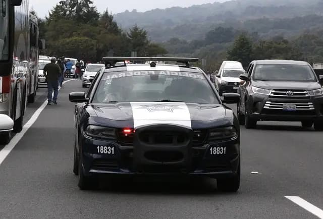 Guía de compra de fondos de emergencia