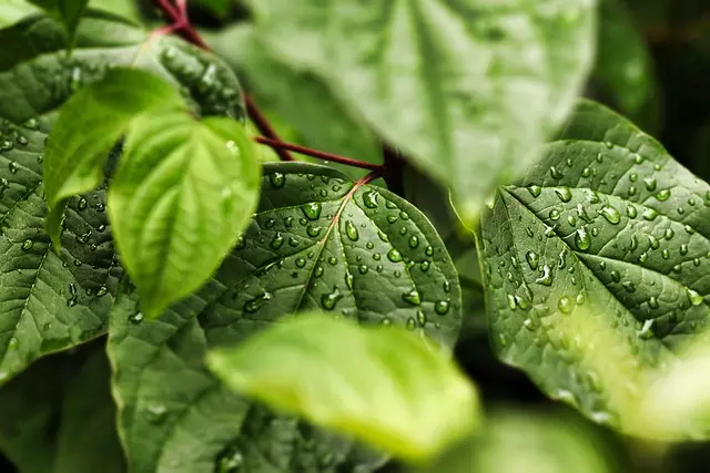 Best Eco-Friendly Home Gadgets for Sustainable Living