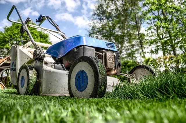 Best Smart Home Gardening Tools for Your Garden