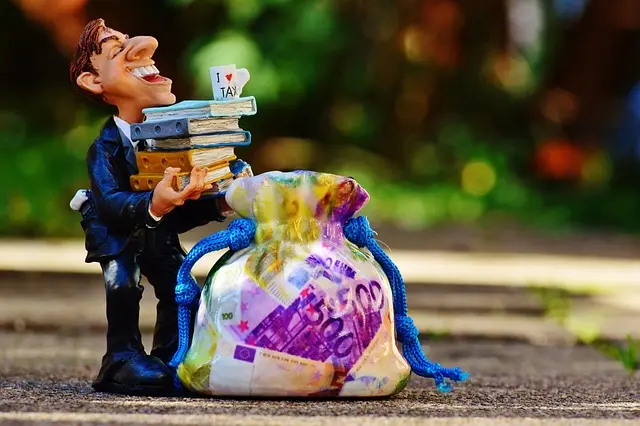 Guía Completa para la Declaración de Impuestos