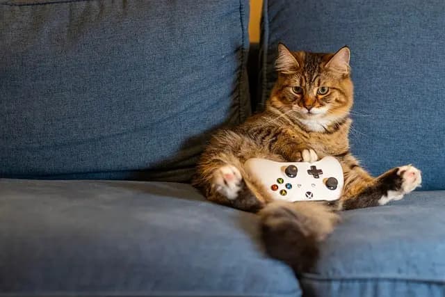 Best Mobile Gaming Accessories: Avoid Common Mistakes